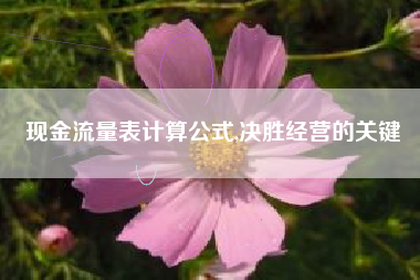 现金流量表计算公式,决胜经营的关键
