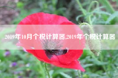 2019年10月个税计算器,2019年个税计算器