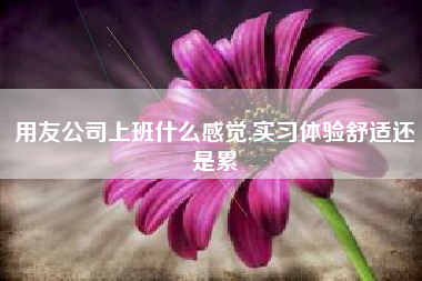 用友公司上班什么感觉,实习体验舒适还是累