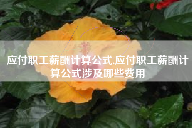 应付职工薪酬计算公式,应付职工薪酬计算公式涉及哪些费用