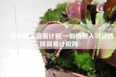 一般纳税人简易计税,一般纳税人可以选择简易计税吗