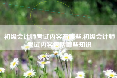 初级会计师考试内容有哪些,初级会计师考试内容包括哪些知识