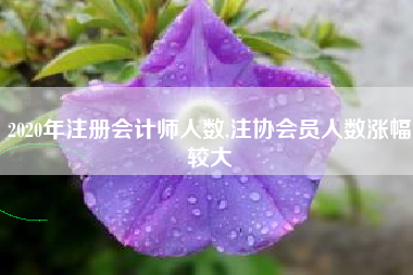 2020年注册会计师人数,注协会员人数涨幅较大