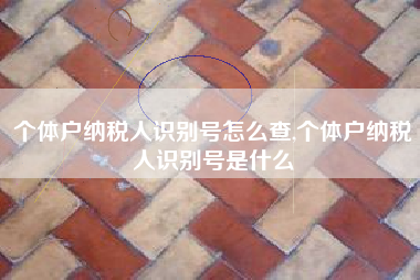 个体户纳税人识别号怎么查,个体户纳税人识别号是什么