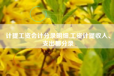 计提工资会计分录明细,工资计提收入、支出都分录