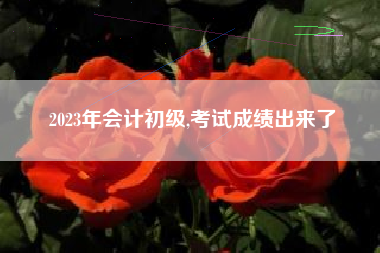 2023年会计初级,考试成绩出来了