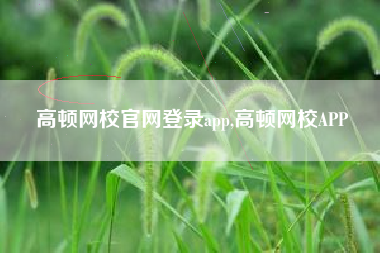 高顿网校官网登录app,高顿网校APP