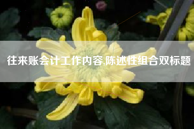 往来账会计工作内容,陈述性组合双标题