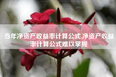 当年净资产收益率计算公式,净资产收益率计算公式难以掌握
