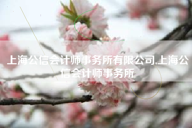 上海公信会计师事务所有限公司,上海公信会计师事务所