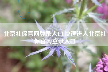 北京社保官网登录入口,快速进入北京社保官网登录入口