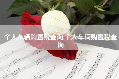 个人车辆购置税查询,个人车辆购置税查询