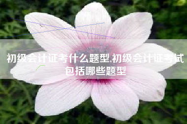 初级会计证考什么题型,初级会计证考试包括哪些题型