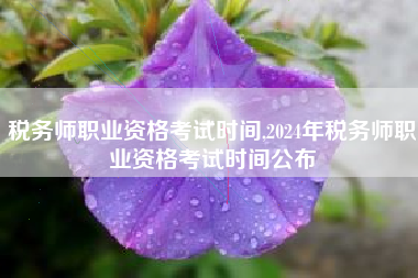 税务师职业资格考试时间,2024年税务师职业资格考试时间公布