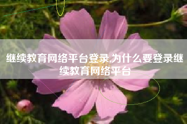 继续教育网络平台登录,为什么要登录继续教育网络平台