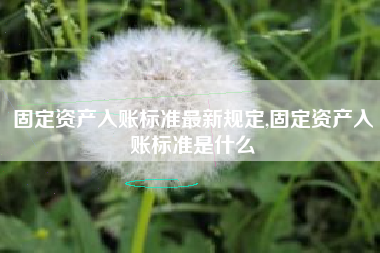 固定资产入账标准最新规定,固定资产入账标准是什么