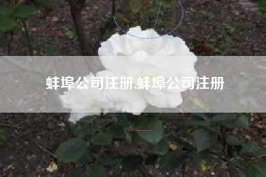 蚌埠公司注册,蚌埠公司注册