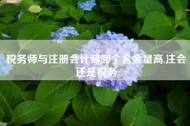 税务师与注册会计师哪个含金量高,注会还是税务