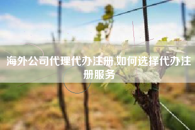 海外公司代理代办注册,如何选择代办注册服务