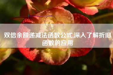双倍余额递减法函数公式,深入了解折旧函数的应用