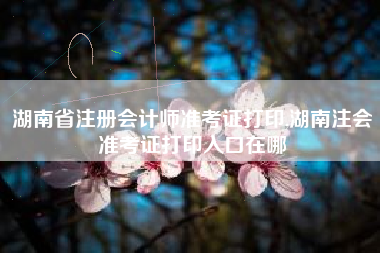 湖南省注册会计师准考证打印,湖南注会准考证打印入口在哪