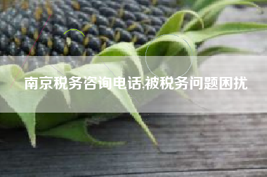 南京税务咨询电话,被税务问题困扰
