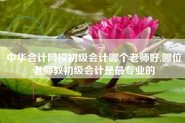 中华会计网校初级会计哪个老师好,哪位老师教初级会计是最专业的
