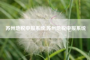 苏州地税申报系统,苏州地税申报系统