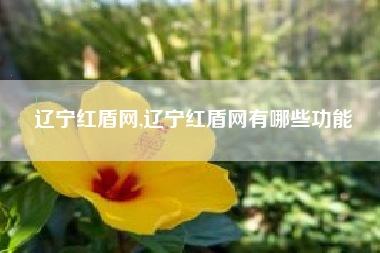 辽宁红盾网,辽宁红盾网有哪些功能
