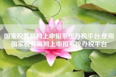 国家税务局网上申报系统办税平台,使用国家税务局网上申报系统办税平台
