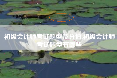 初级会计师考试题型及分值,初级会计师考试题型有哪些