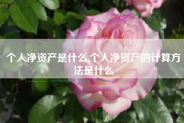 个人净资产是什么,个人净资产的计算方法是什么