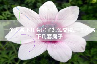一个人名下几套房子怎么交税,一个人名下几套房子