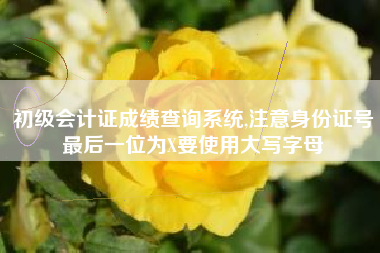 初级会计证成绩查询系统,注意身份证号最后一位为X要使用大写字母