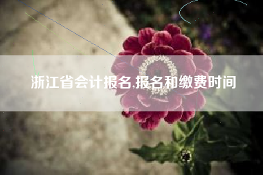 浙江省会计报名,报名和缴费时间