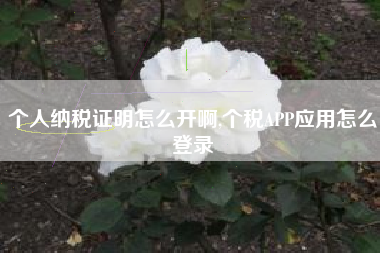 个人纳税证明怎么开啊,个税APP应用怎么登录