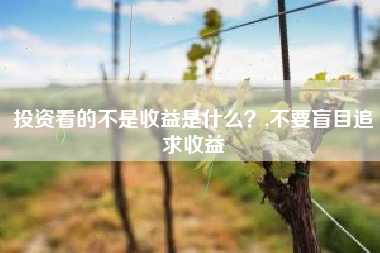投资看的不是收益是什么？,不要盲目追求收益