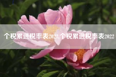 个税累进税率表2022,个税累进税率表2022
