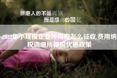 2022年小规模企业所得税怎么征收,费用纳税调增所得税优惠政策