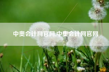 中奥会计网官网,中奥会计网官网