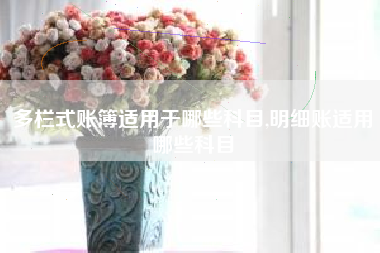 多栏式账簿适用于哪些科目,明细账适用哪些科目
