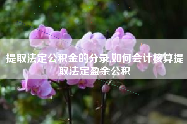 提取法定公积金的分录,如何会计核算提取法定盈余公积