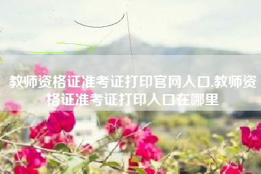 教师资格证准考证打印官网入口,教师资格证准考证打印入口在哪里