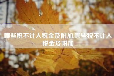 哪些税不计入税金及附加,哪些税不计入税金及附加