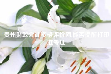 贵州财政会计资格评价网,能否提前打印准考证