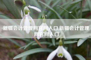 新疆会计管理网官网入口,新疆会计管理网官网入口