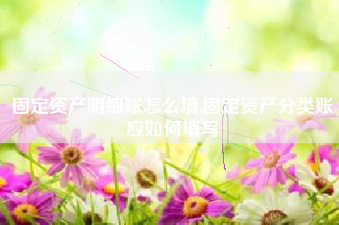 固定资产明细账怎么填,固定资产分类账应如何填写
