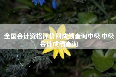 全国会计资格评价网成绩查询中级,中级会计成绩查询