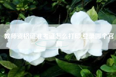 教师资格证准考证怎么打印,登录哪个官网