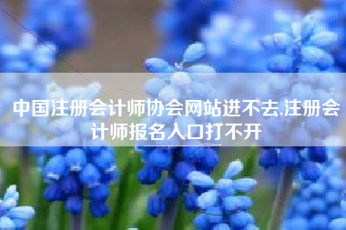 中国注册会计师协会网站进不去,注册会计师报名入口打不开